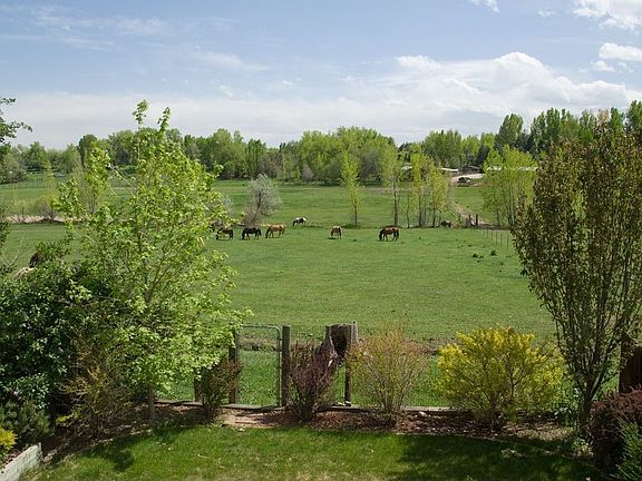 View from back deck