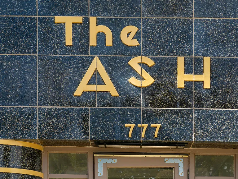 The Ash — Photo 18