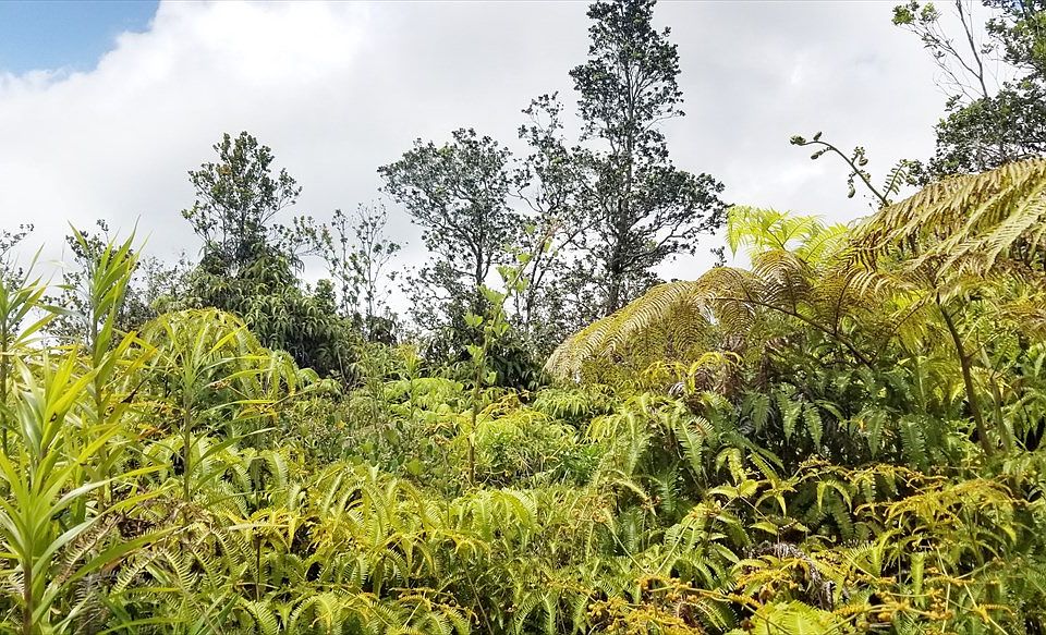 1st image of Pa Alii St Lot 1569
