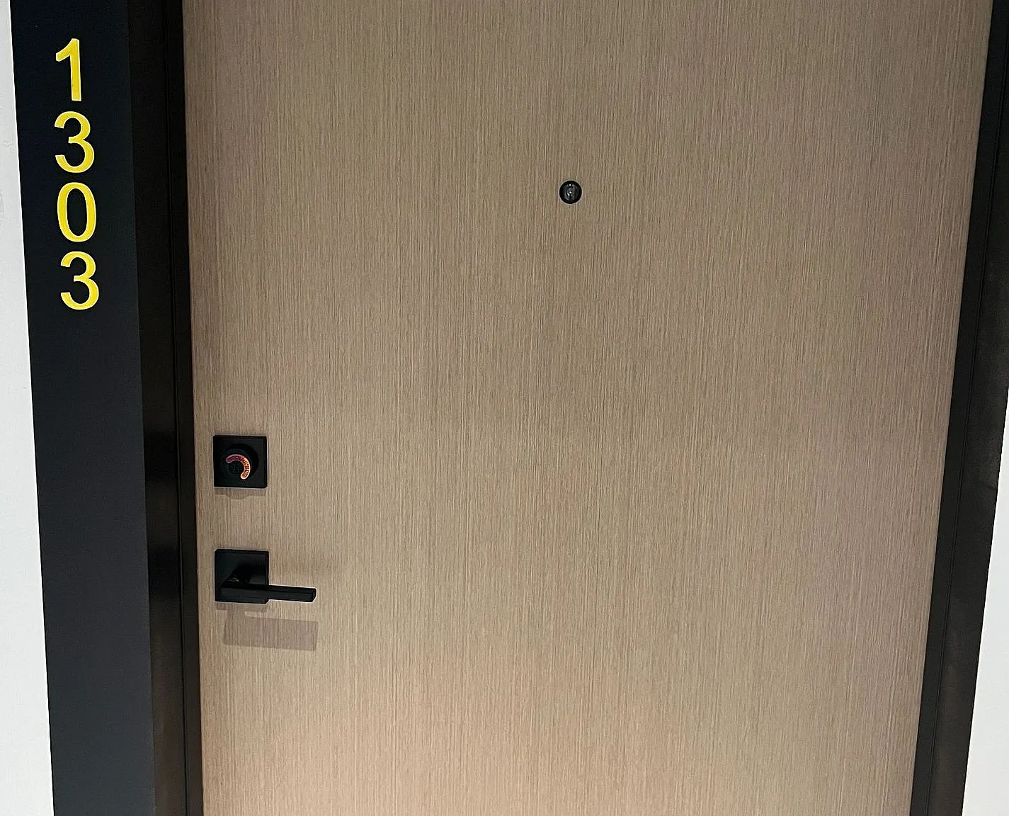 2 bed, $2,700 — Photo 4