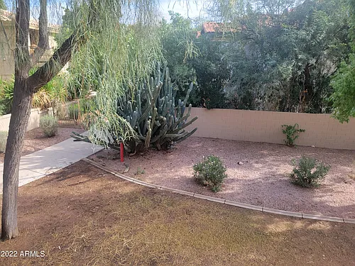 9460 E Mission Ln #216 Photo 1