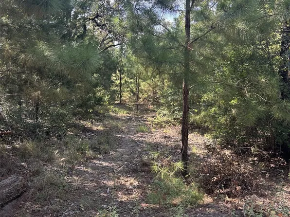 667 Paint Creek South Rd, Paige, TX 78659