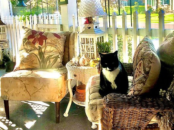 Beautiful screen porch 21x11