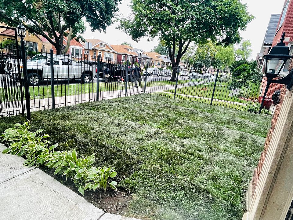 New grass 2024!