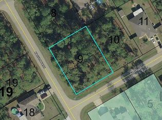 1 Kashgar Ct, Palm Coast, FL 32164