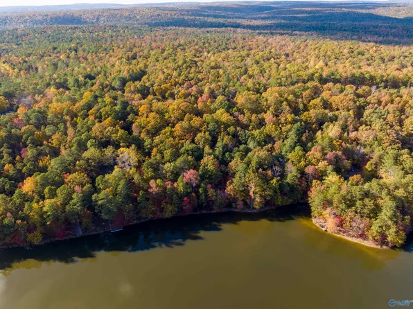 1810 County Road 103, Mentone, AL 35984