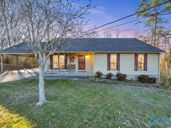 1315 Jacobs Ave, Bridgeport, AL 35740