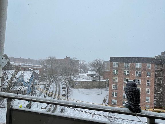 4th image of 14220 84th Dr APT 6A
