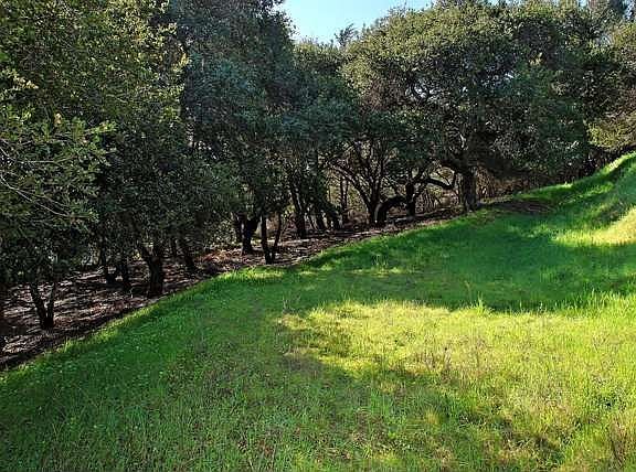 Room for horses or ??