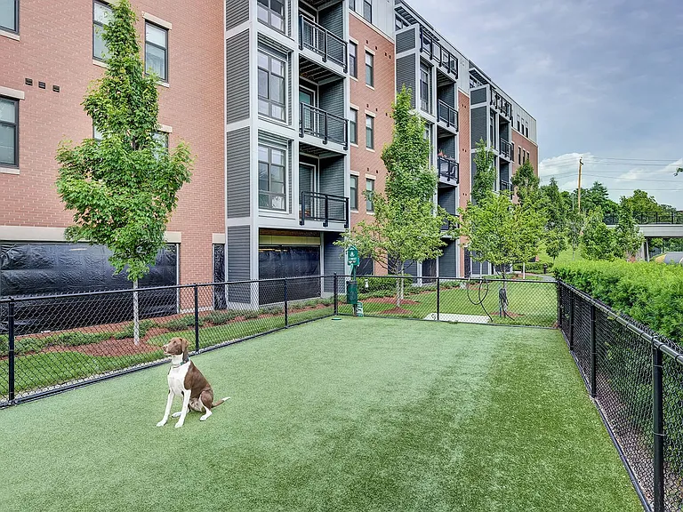 On-site dog park