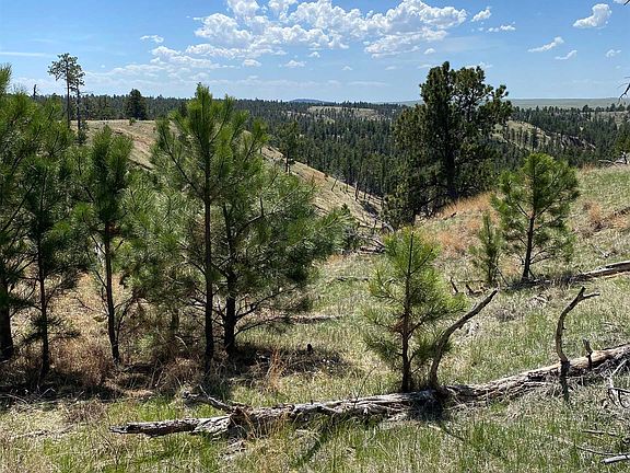 4th image of 55 Two Pipe Trl