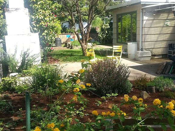 South backyard w bench