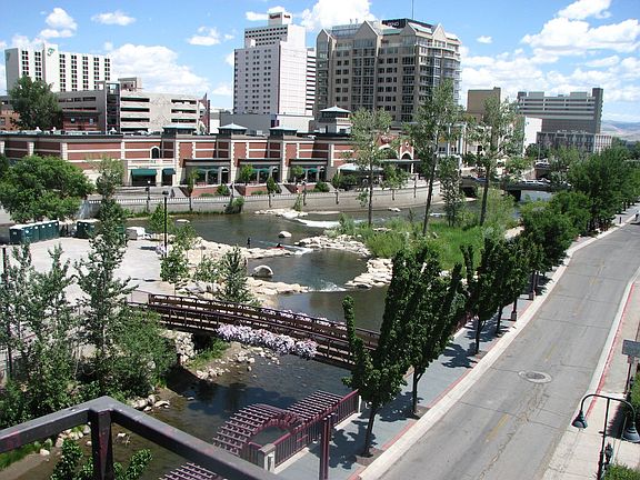 View from Living Room and bedroom windowswindow