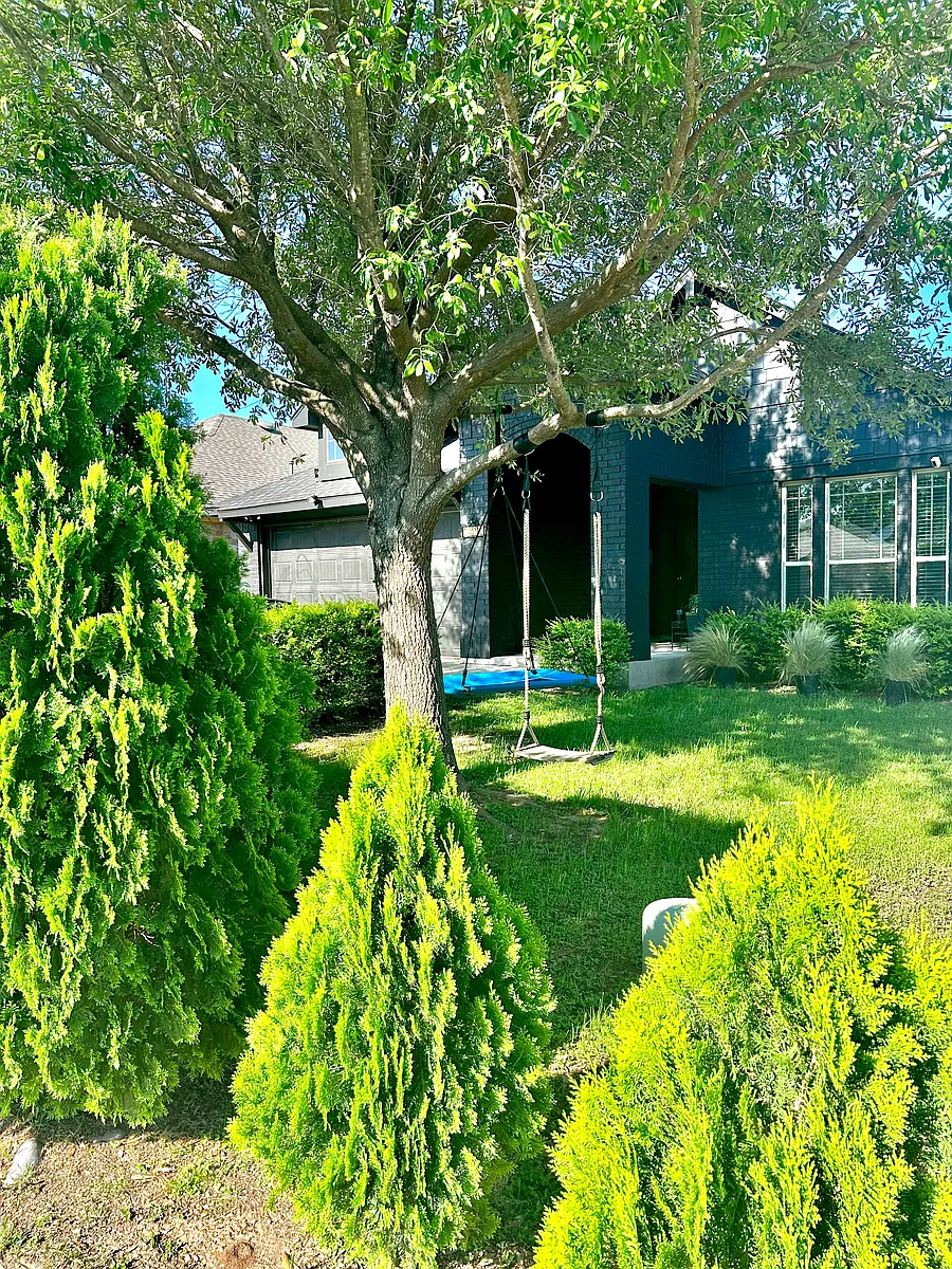 Building Photo - 2604 Highland Haven Dr