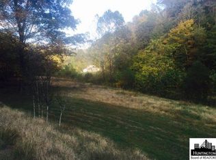 96 E Lynn Rd, Ranger, WV 25557