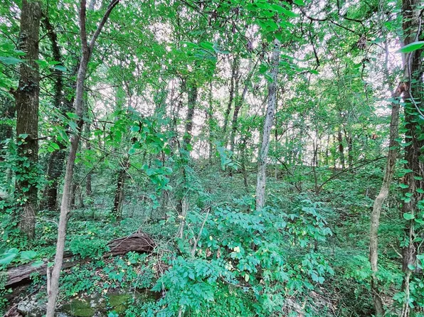 45 N Mountain Dr, Trinity, AL 35673