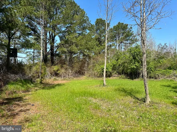 0 Bryan Hall Rd, Marion Station, MD 21838