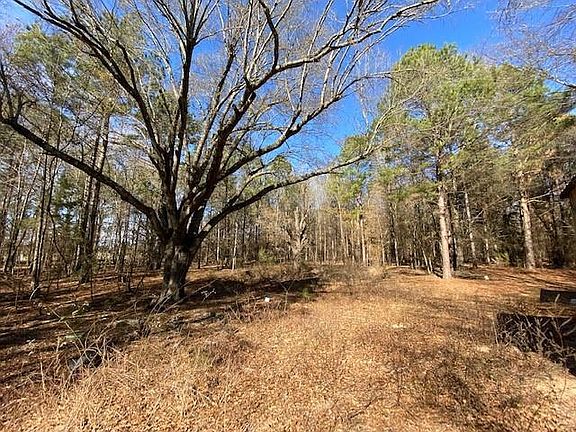 3rd image of 100ACR E County Road 3311