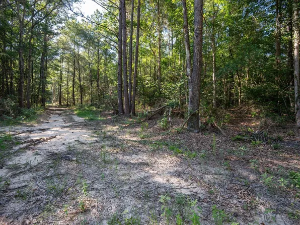 County Road 3000, Woodville, TX 75979