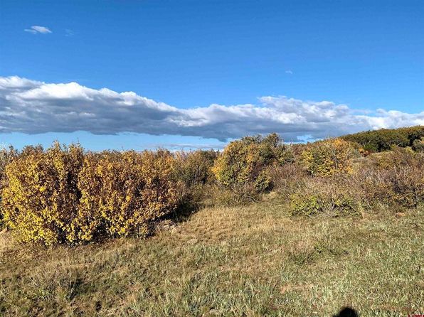 TBD Road 28.8, Cahone, CO 81320