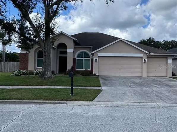 12814 Big Sur Dr, Tampa, FL 33625