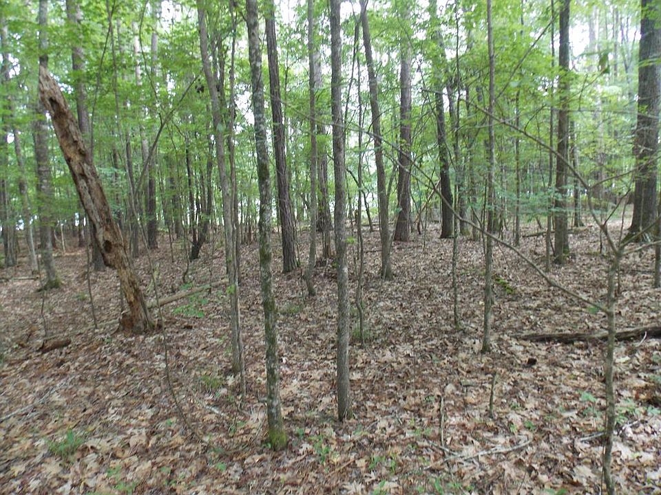 1st image of 32 Petersburg Trce