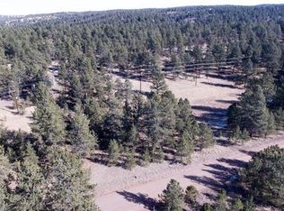 225 Homestead Ln, Florissant, CO 80816