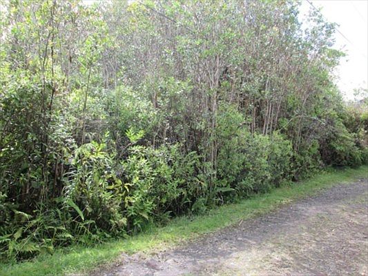 2nd image of Road 5 Lot 3779