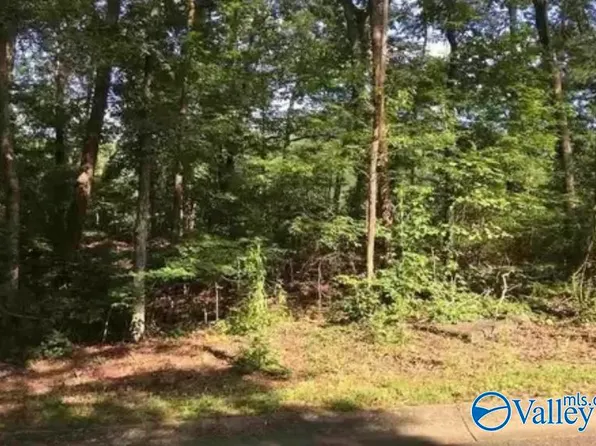 46 Valley Trl, Warrior, AL 35180