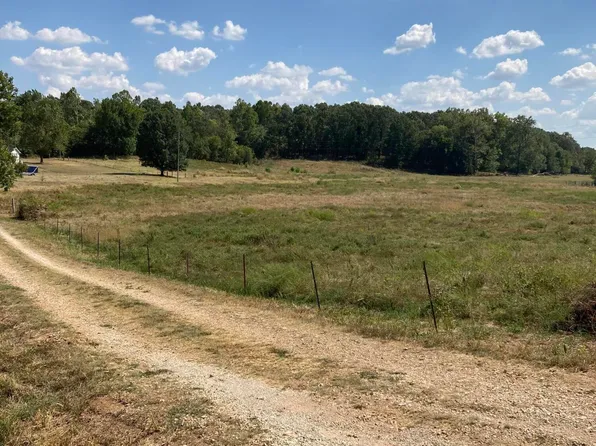 13115 Falcon Rd, Neosho, MO 64850
