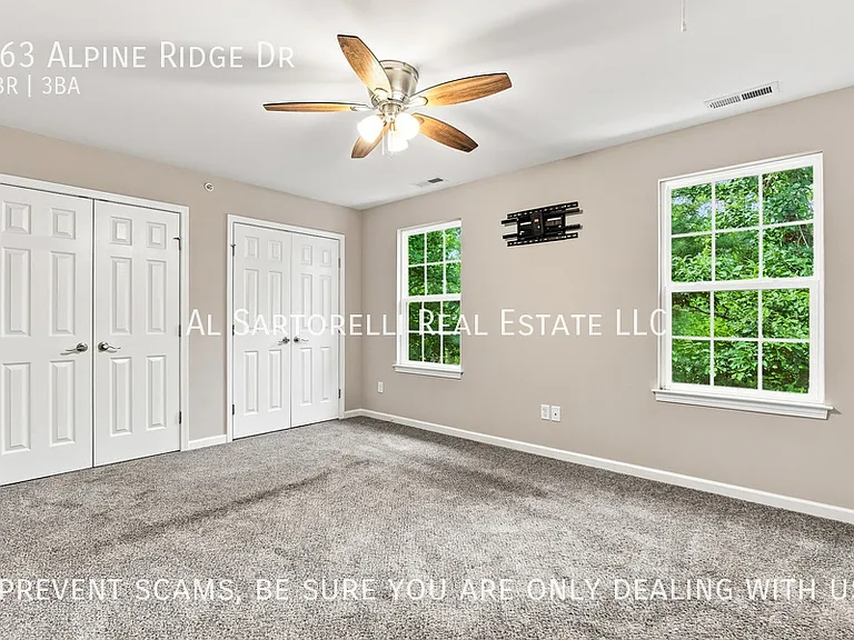 163 Alpine Ridge Dr — Photo 19