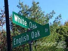 1st image of 2605 English Oak Dr