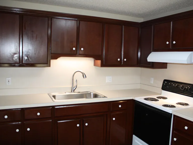 Kitchen area/sink