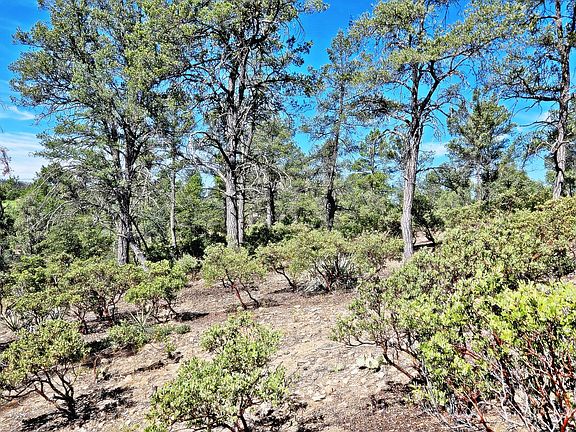 3rd image of 2309 E Yerba Serita