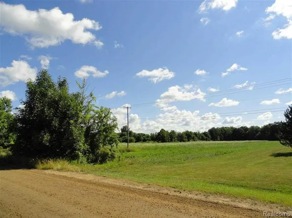 0 Morrish Rd, Swartz Creek, MI 48473