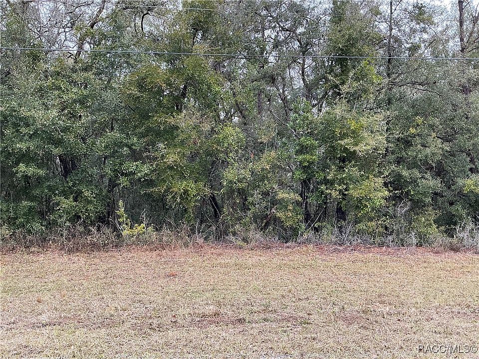 1st image of 10135 N Athenia Dr