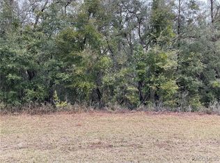 10135 N Athenia Dr, Citrus Springs, FL 34434
