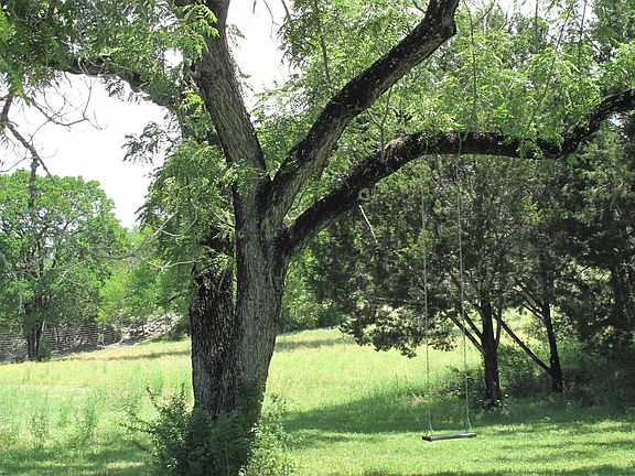 swing sety on old oak tree