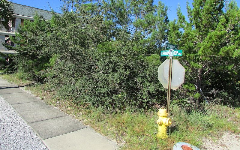 2nd image of 11 Flip Flop Ln