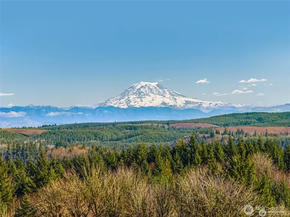 306 Dax Spur ***Lot only**** Road #Rd, Castle Rock, WA 98611