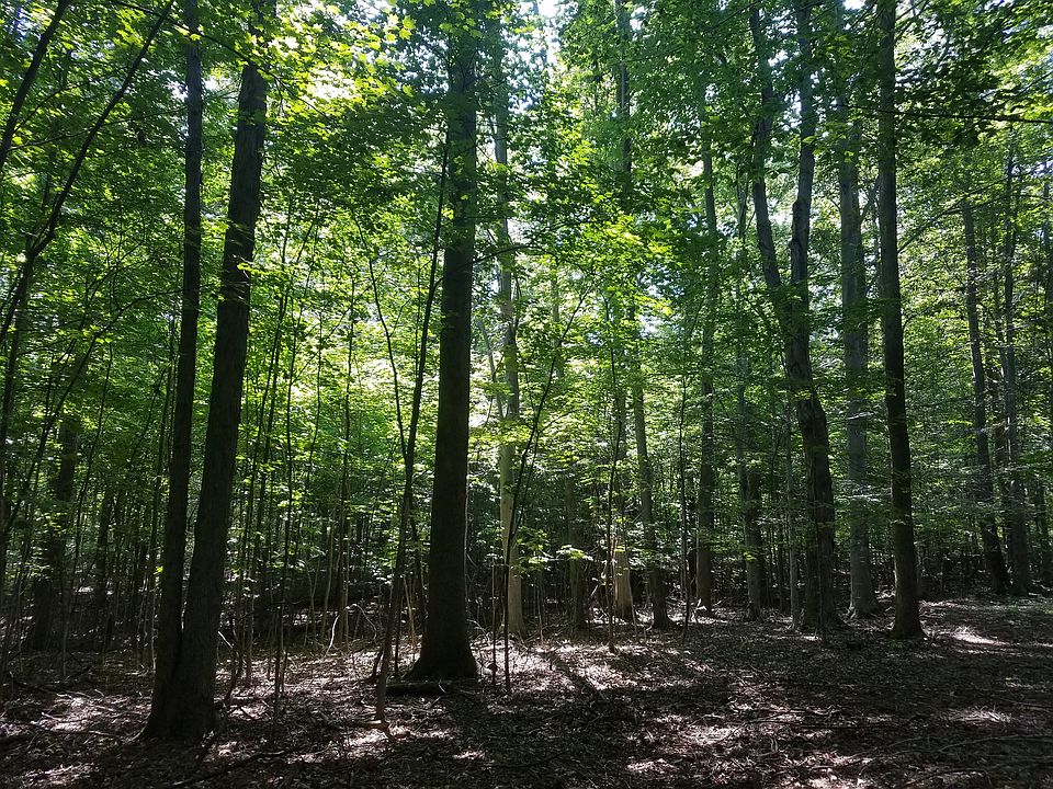 2nd image of Hemlock Ln