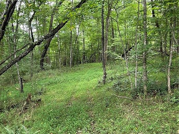 5th image of 0 Long Hill Rd