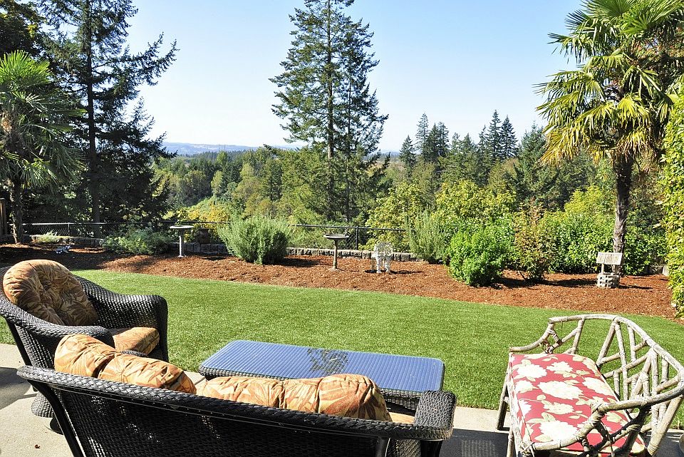 Amazing Backyard View