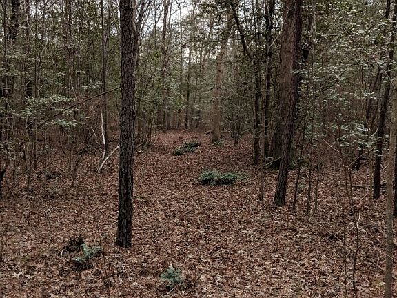 4th image of 6 George Washington Memorial Hwy