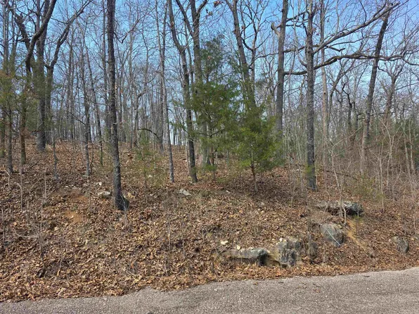 L6-B1 Deer Run Dr, Cherokee Village, AR 72529