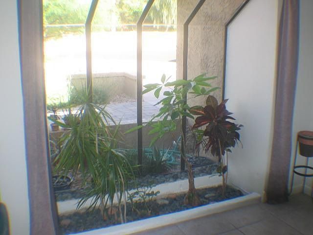 Atrium with live plants