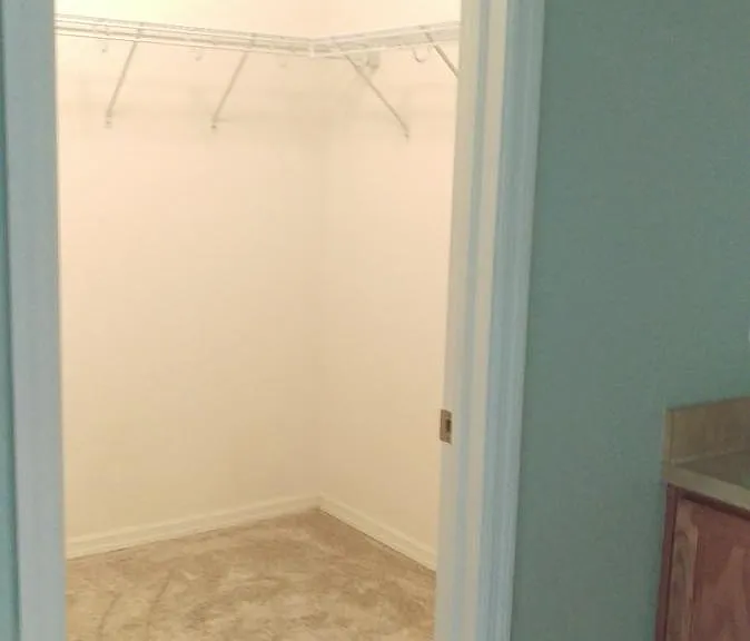 Master large walk-in closet