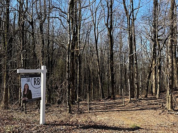 2nd image of 6180 Burnt Mountain Rd