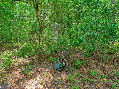 0 Alsop Way, Spotsylvania, VA, 22551