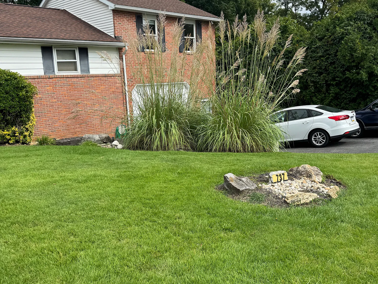6 bed, 2400 sqft, $3,200 — Photo 4